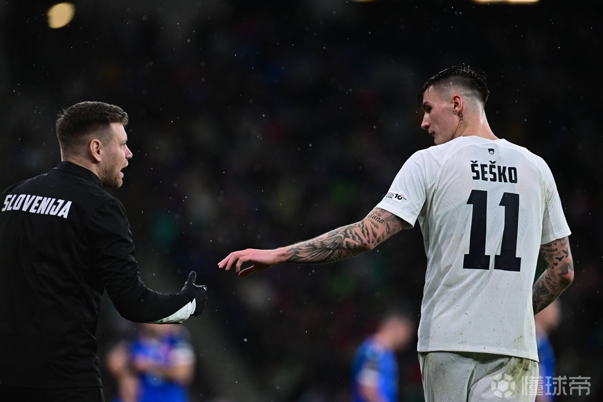 开云体育直播-斯洛文尼亚足球协会派代表谋求国际合作，积极参与国际赛事的简单介绍